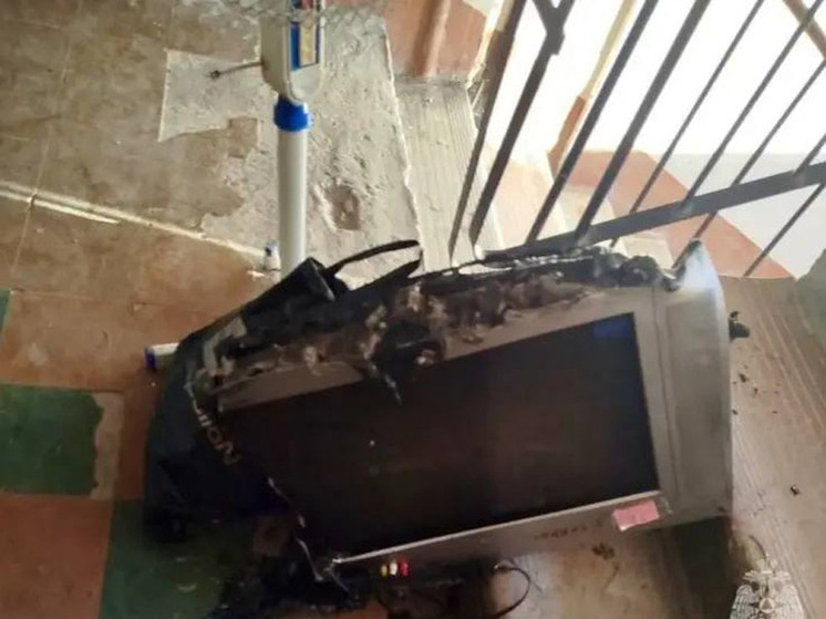 В Саратове загоревшийся телевизор едва не погубил свою хозяйку