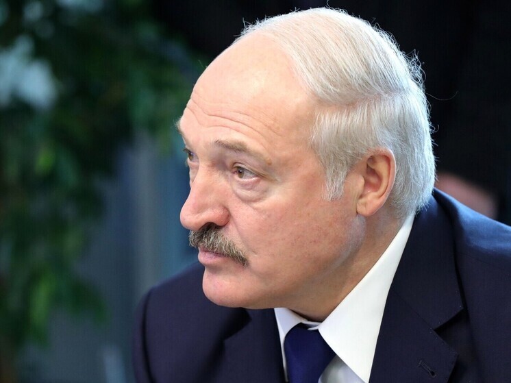 Лукашенко предложил Литве переговоры по грузовикам и отверг обвинения по метеозондам