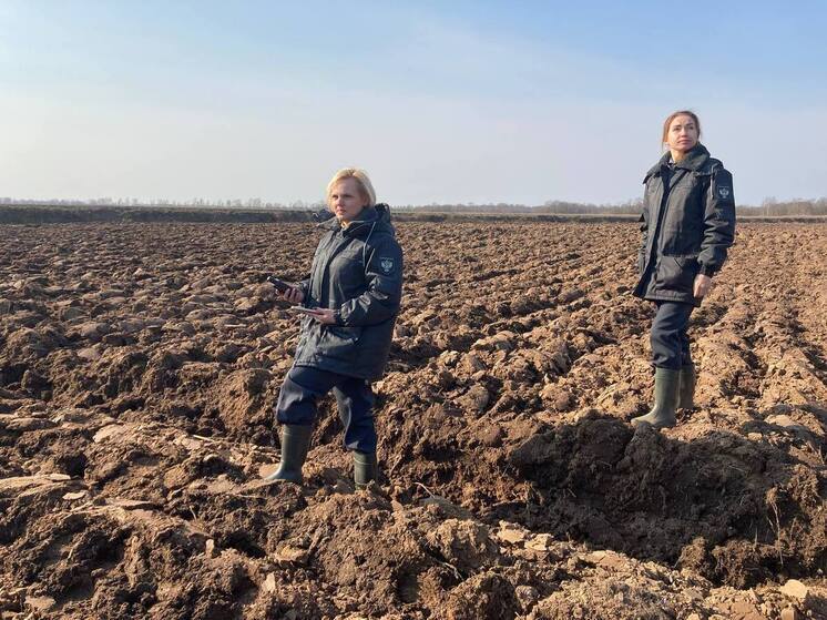 В Новгородской области выявили более 8 тысяч гектаров заросших земель