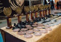 В Шахтерске Донецкой народной республики завершился межрегиональный турнир, объединивший 40 молодых спортсменов в возрасте от 12 до 17 лет из четырех регионов: Донецкой и Луганской Народных Республик, Запорожской и Херсонской областей