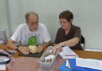 Таинственное исчезновение Homo floresiensis, древних низкорослых людей с острова Флорес, прозванных хоббитами, теперь связывают не с прибытием современных людей, а с катастрофической многовековой засухой, которая опустошила их среду обитания