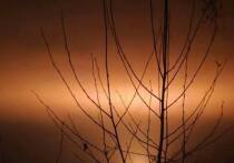 «Наша служба и опасна, и  трудна