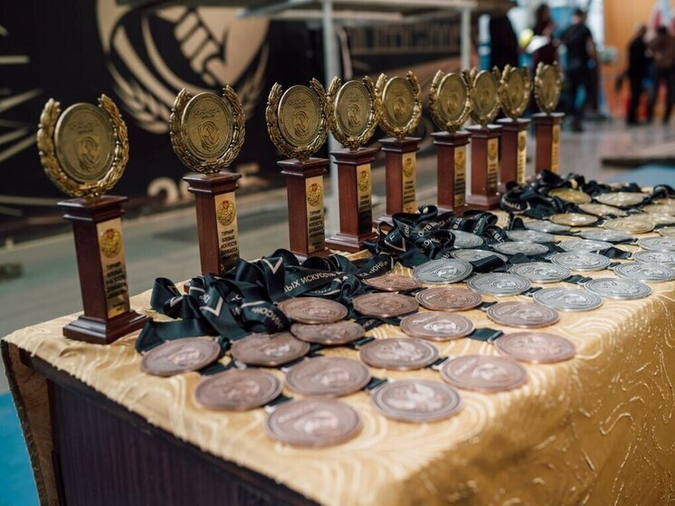 В Шахтерске Донецкой народной республики завершился межрегиональный турнир, объединивший 40 молодых спортсменов в возрасте от 12 до 17 лет из четырех регионов: Донецкой и Луганской Народных Республик, Запорожской и Херсонской областей