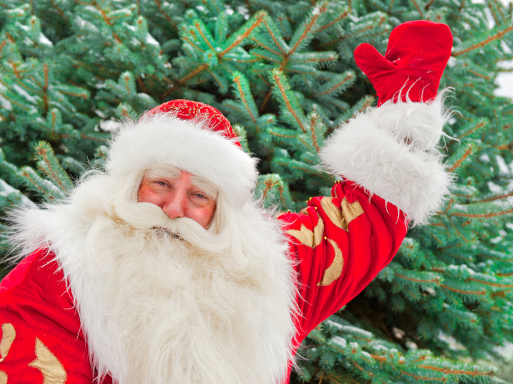 Житель Архангельска попался на краже фигурки санта-клауса