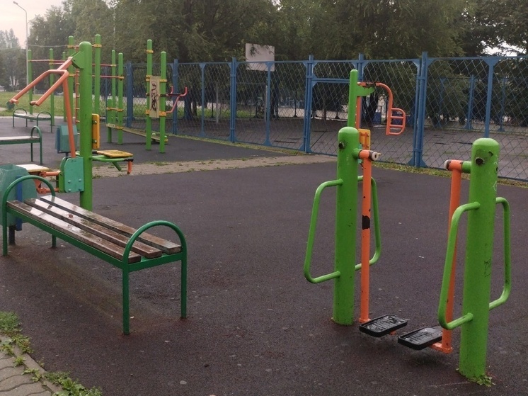 Спорт и культура в приоритете: Глава ДНР подвел итоги 2025 года