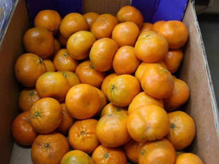 Почти 800 тонн плодов, муки и круп ввезли на Южный Урал за неделю