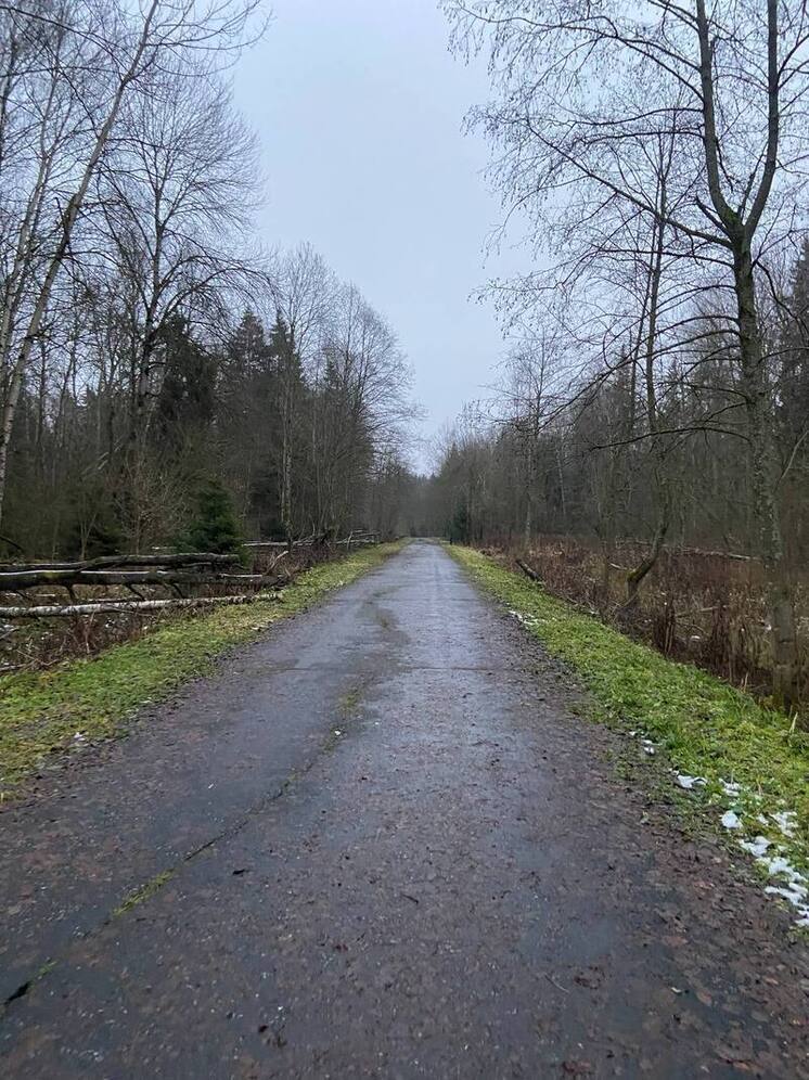Метеоролог Сафонов: Освещенности не хватает, чтобы нормально себя чувствовать