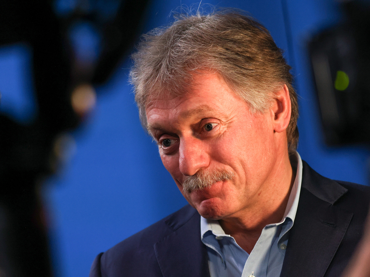 Песков подтвердил поток детских обращений из-за блокировки Roblox