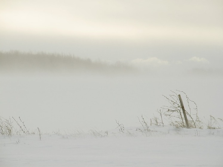 Морозы до −37 и порывистый ветер: какая погода ждет Хабаровский край 10 декабря