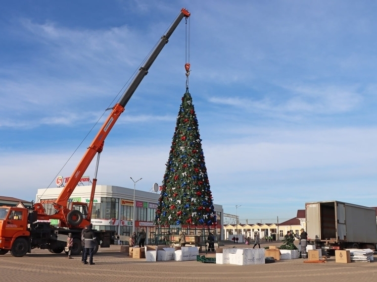 15-метровая елка украсит главную площадь Прохоровского округа