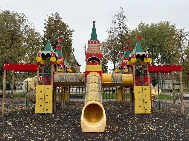 В Туле снесли детскую площадку с именем экс-губернатора Владимира Груздева
