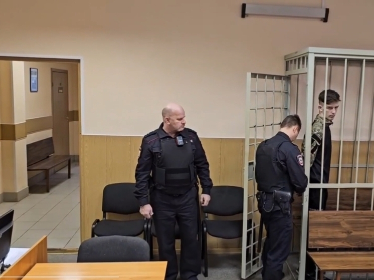 В Сланцах обвиняемого в истязании детей отправили под стражу