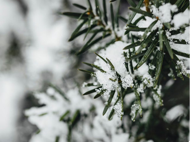 Сильный снегопад ожидается в Самаре в выходные 13 и 14 декабря