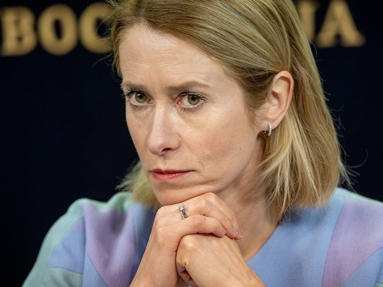 Глава евродипломатии Каллас заявила о наличии у ЕС «рычагов давления» на КНР