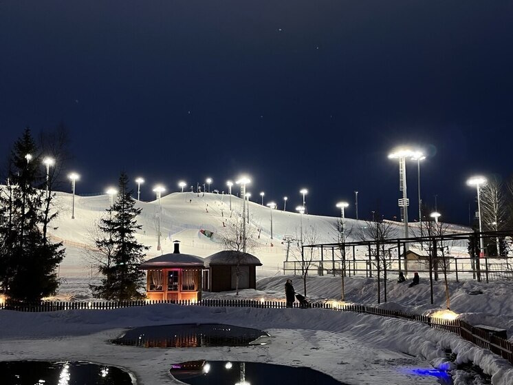 Петербуржец забрал 42 пары лыж, смазал и не вернул