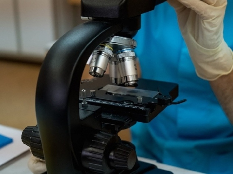 Волгоградцы узнали, как анализ крови может выявить риск развития остеопороза