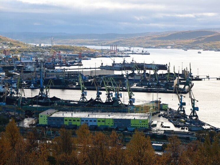 В Мурманской области выросла доля убыточных организаций по итогам 9 месяцев