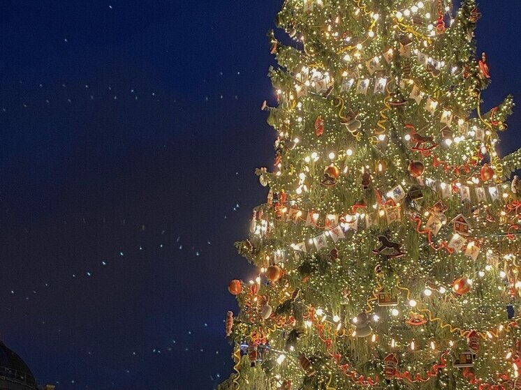 Железнодорожники Калининградской магистрали зажгли «Елку добра»