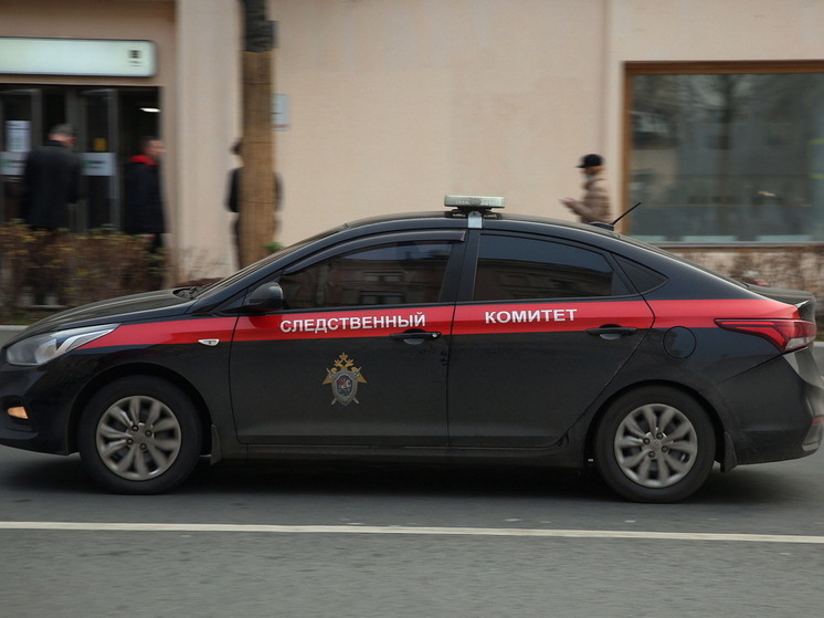 В смерти матери двоих детей в сгоревшем доме под Волгоградом подозревают ее мужа