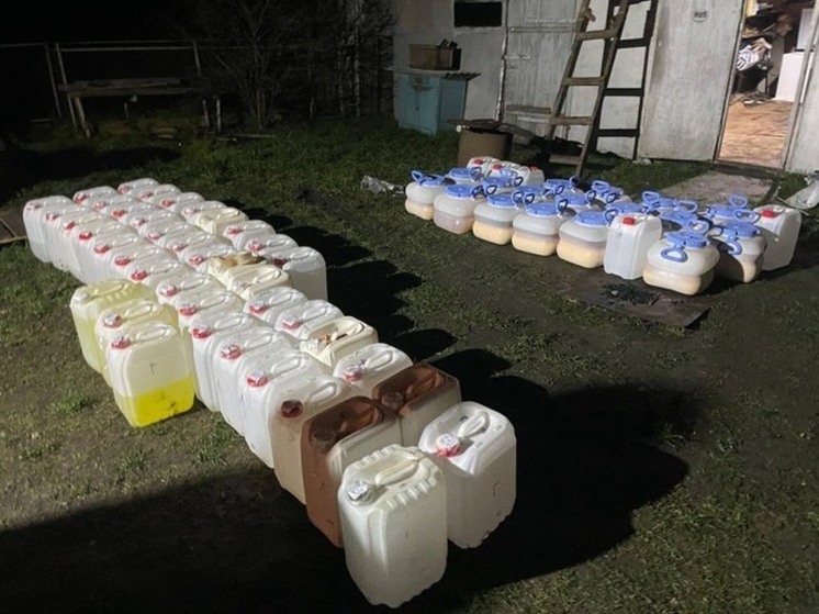 Супруги-наркодельцы из Подмосковья устроили «синтетический» цех в тамбовском селе