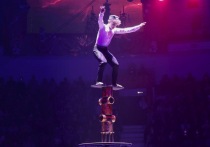 Все дети верят в чудеса, которые обязательно кто-нибудь сотворит – волшебник, Дед Мороз или хотя бы родители