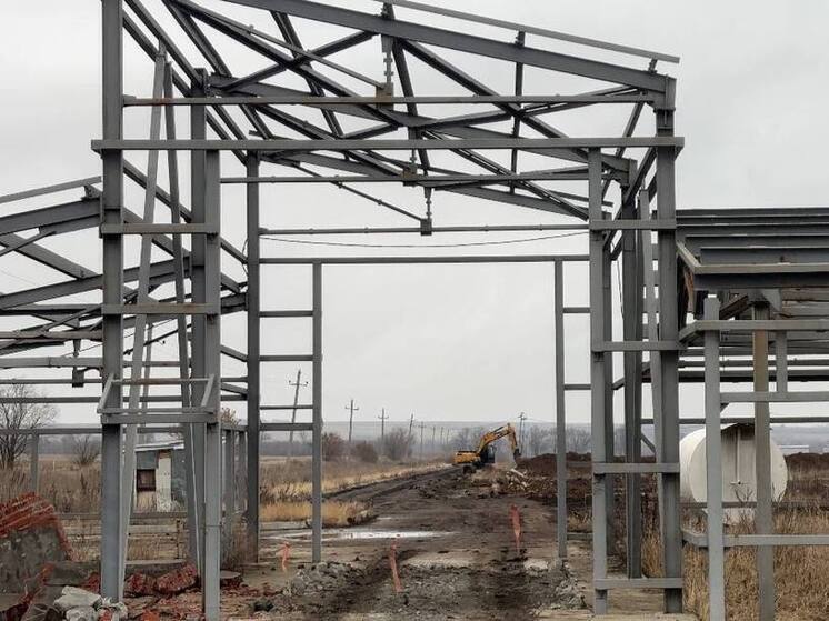 В Самарской области проходит проект по расширению фабрики «Самарский бройлер»