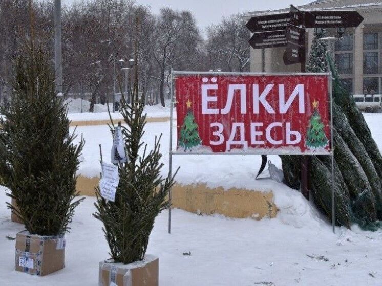 Ёлочные базары в Кирове: праздничный старт 20 декабря