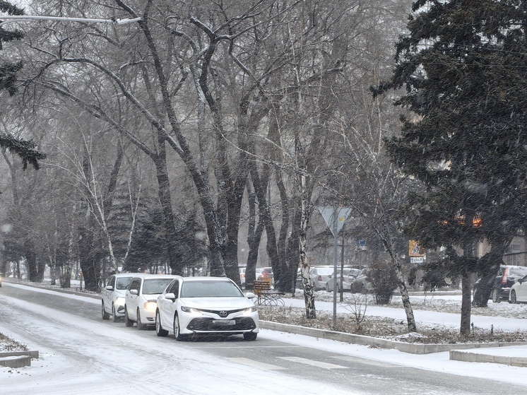 МЧС предупредило жителей Мурманской области о снегопаде 10 декабря