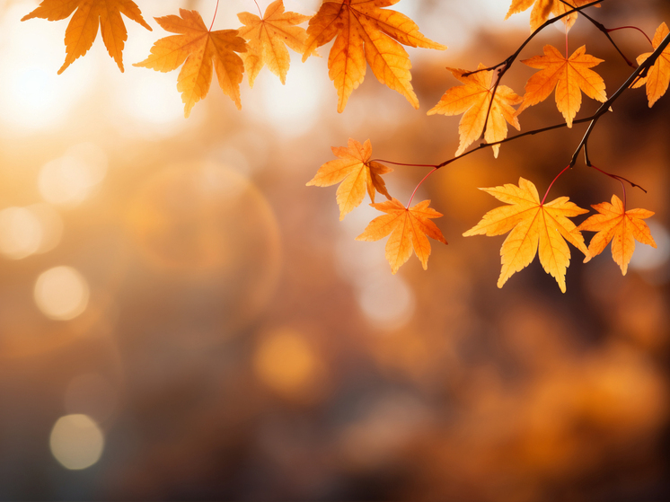 8 градусов тепла и дожди прогнозируют в Херсонской области 10 декабря