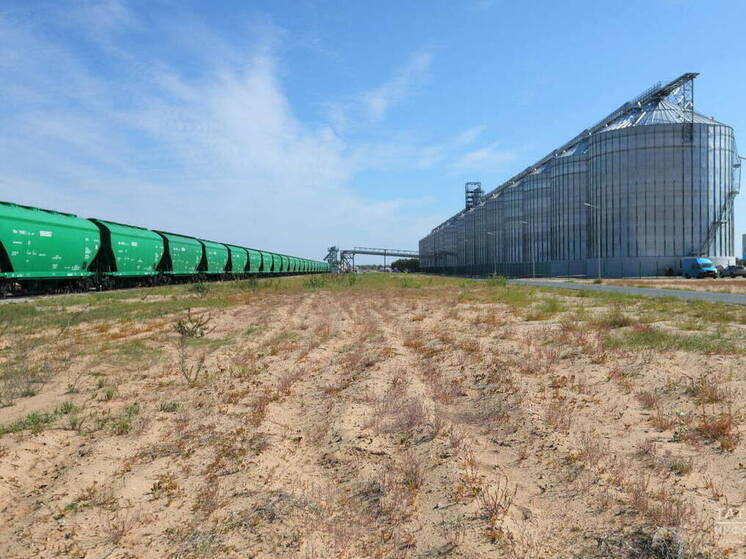 В Татарстане значительно вырос за год экспорт продукции АПК