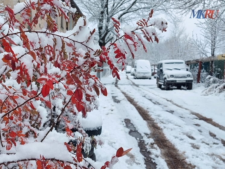 На Калугу идут снегопад и гололедица
