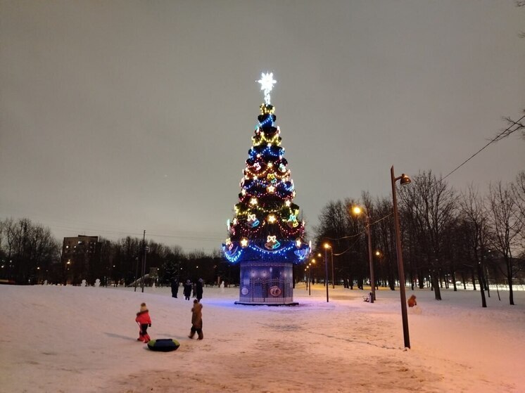 Стройблок Ленобласти исполнил мечты детей на Елке желаний