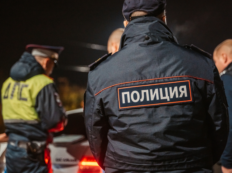 Полицейские разобрались в причине ссоры братьев в Тверской области