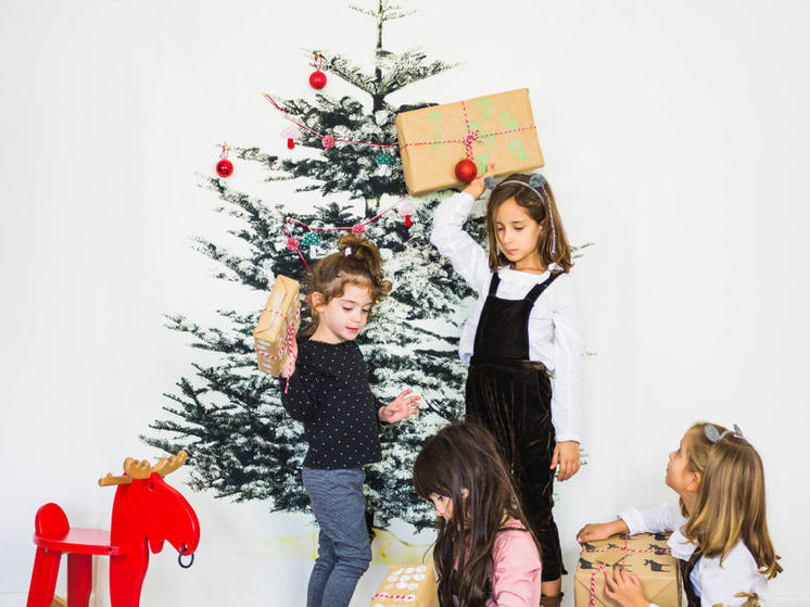 Как тамбовским родителям не попасть на удочку мошенников при покупке билетов на детские ёлки