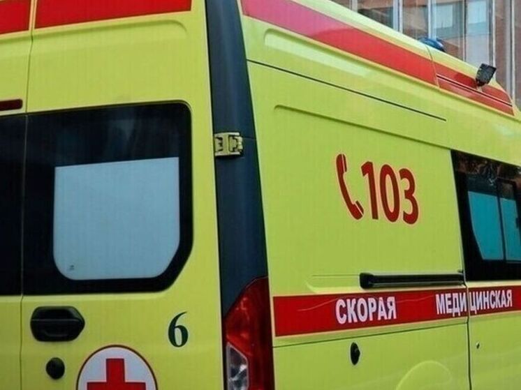 В Курской области хозяин собак заплатит за нападение животных на мать и сына