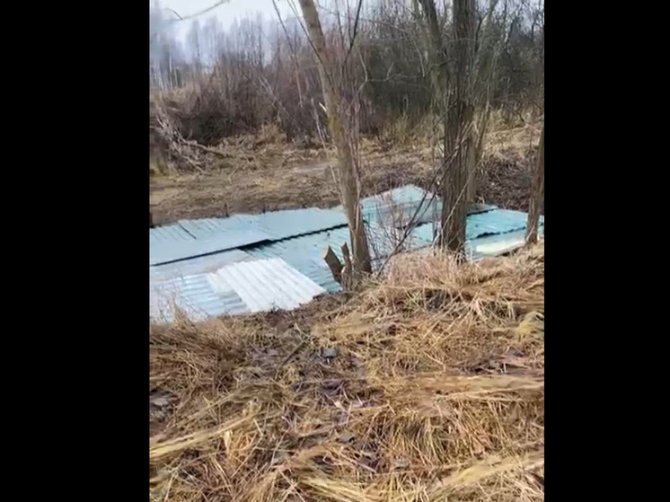 В Ярославском районе отравленный ручей прикрыли профлистом
