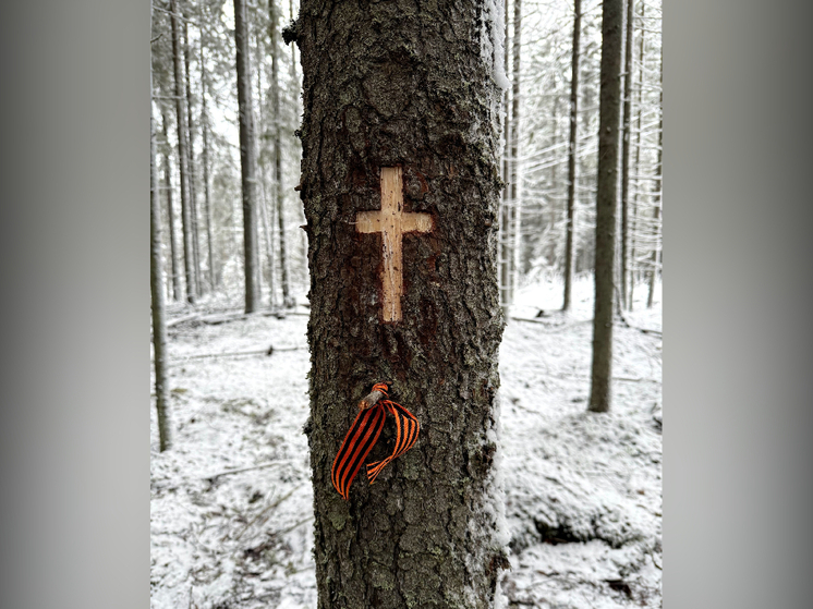 Останки солдата РККА, найденные в Карелии, будут преданы земле в Белоруссии