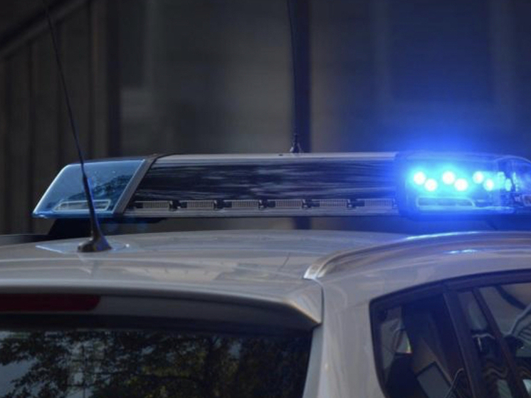 В Новосибирской области раскрыли многолетнюю схему продажи «воздушных» участков: пострадали 40 человек