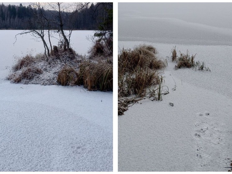 Жителей Марий Эл предупредили: лед на водоемах выдерживает пока только зверей
