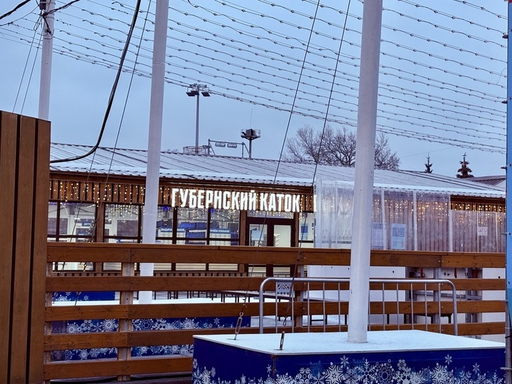 Видеонаблюдение и беспроводной интернет провели на главном катке Тулы