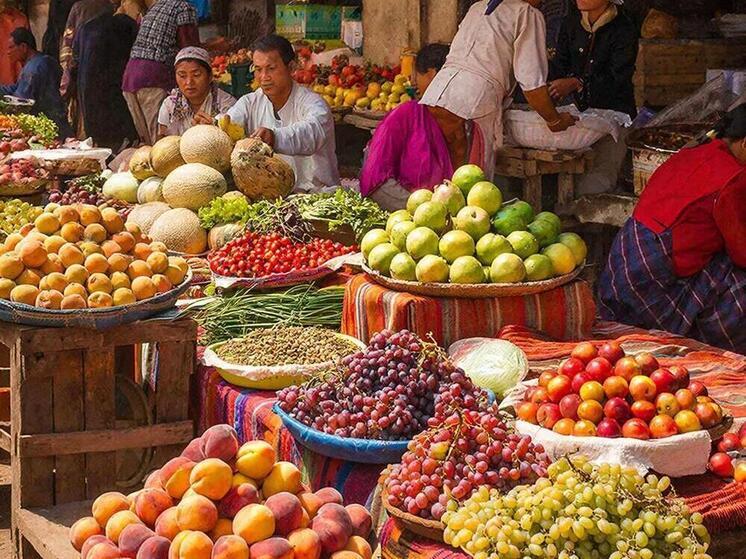 Иностранцы не смогут работать в Смоленской области в определенных секторах экономики