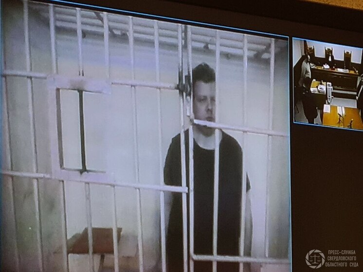 Обвиняемый в покушении на убийство детей балалаечник пытался выйти на свободу