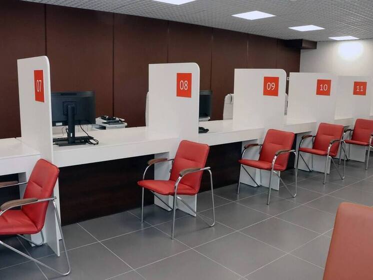 95 тысяч услуг оказали специалисты МФЦ ДНР за месяц