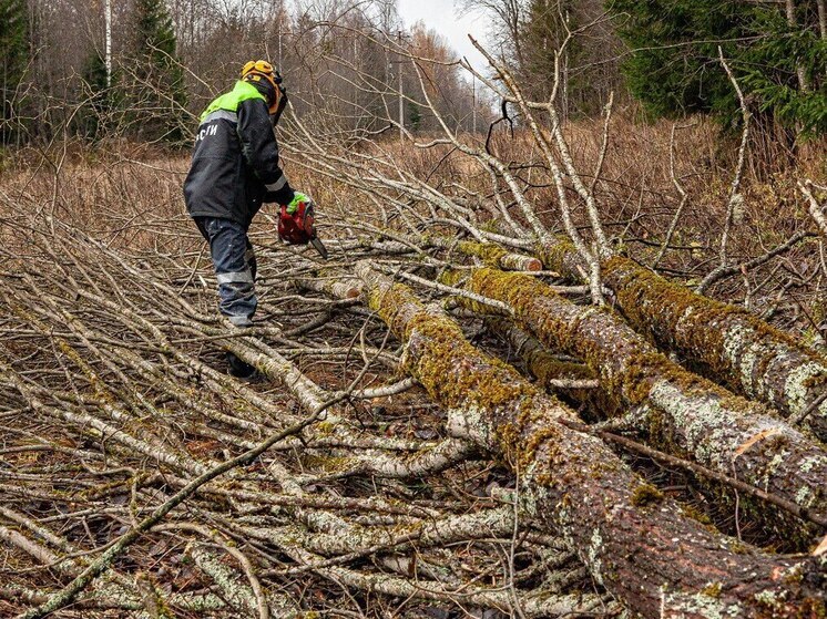 Тверьэнерго повысило надежность электроснабжения жителей Западнодвинского округа