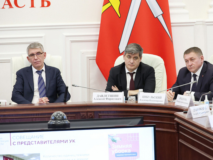 В Туле обсудили зимнее содержание территорий населенных пунктов