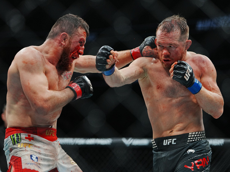 Бойцы обсудили планы на следующий год в соцсетях.