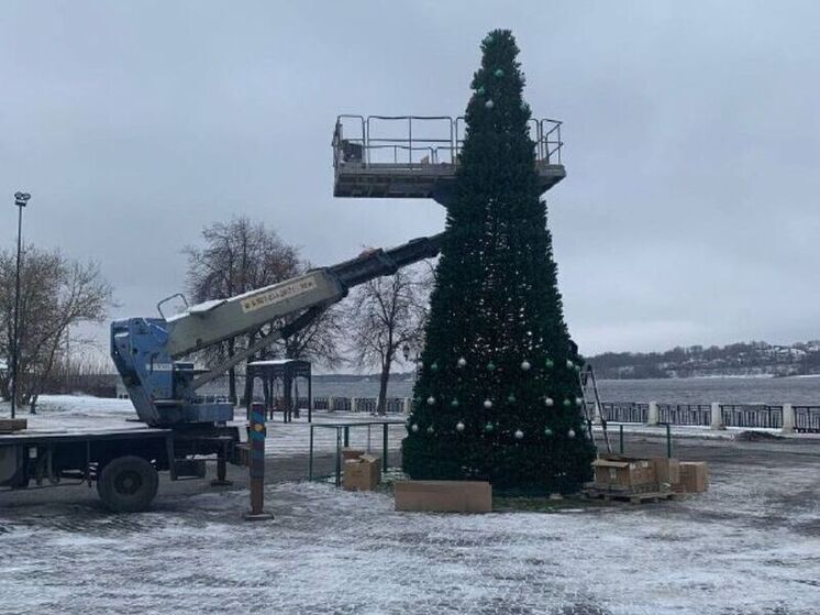 С кубышкой на макушке: необычную ель устанавливают на Московской заставе