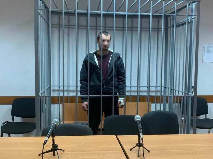 Арестован водитель, насмерть сбивший мужчину с дочкой в Рязанской области