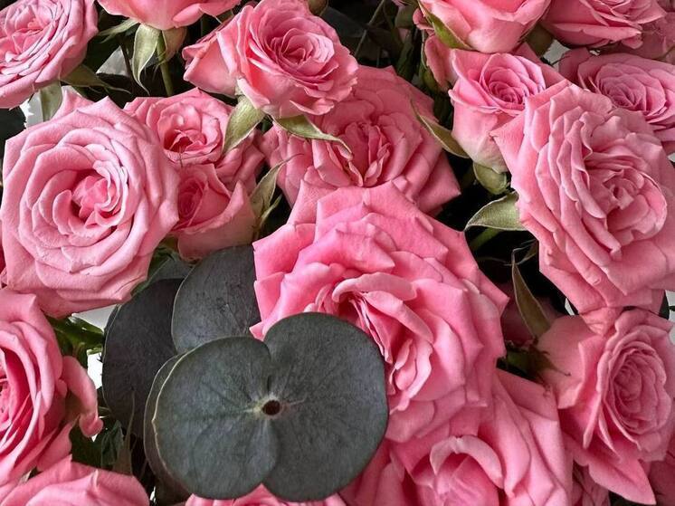 В Калининграде уничтожили партию роз из-за опасного вредителя