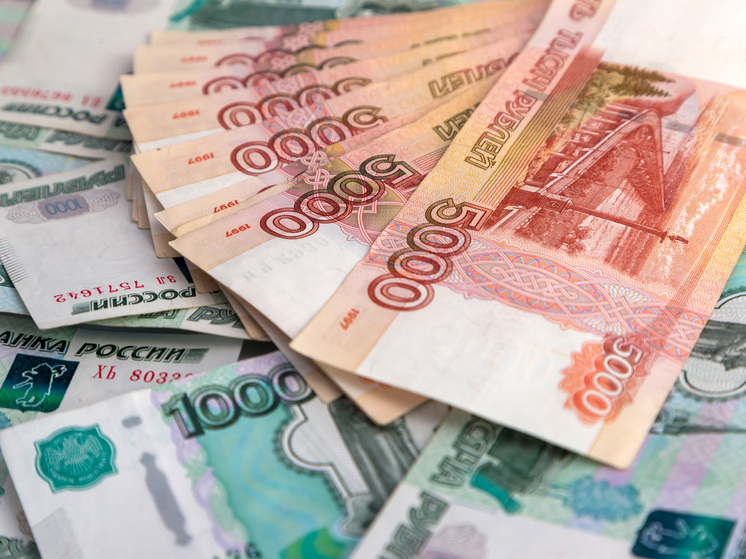 Профессор Сафонов: «Мы не в силах сделать минимальную зарплату в 100 тысяч рублей»